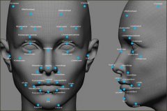 十种人脸识别技术主流算法类型