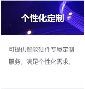 个性化定制